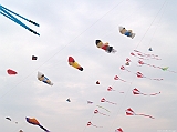 Cervia 2011-224